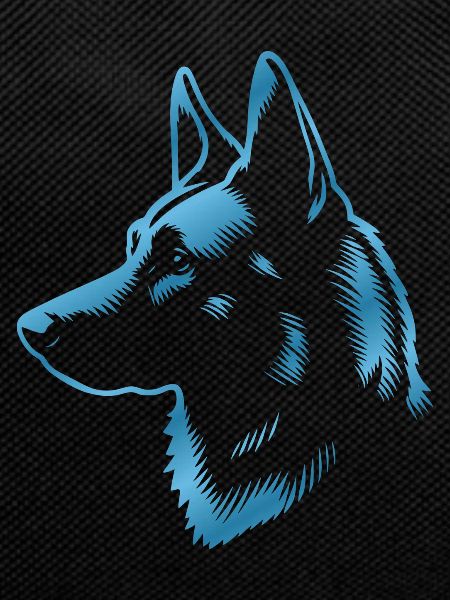 Malinois, Dog's Head, Drawing Blue