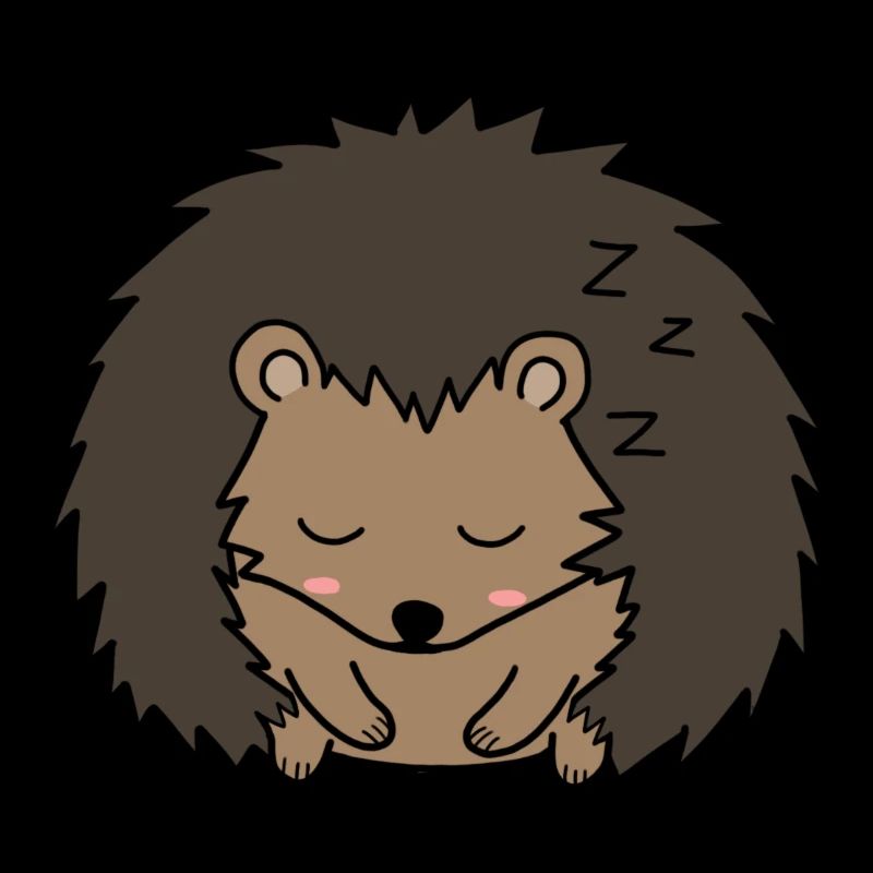 Sleeping hedgehog