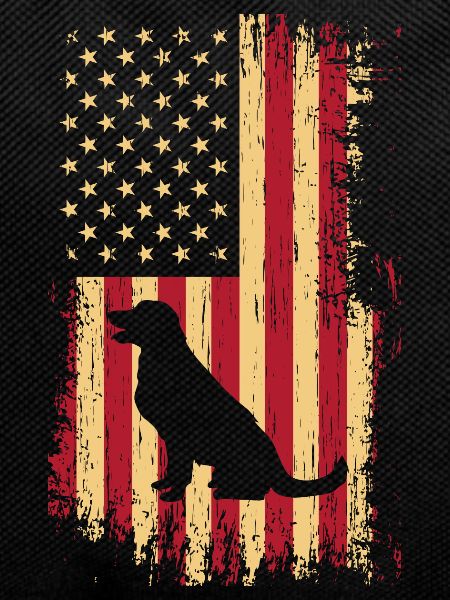 Labrador USA flag