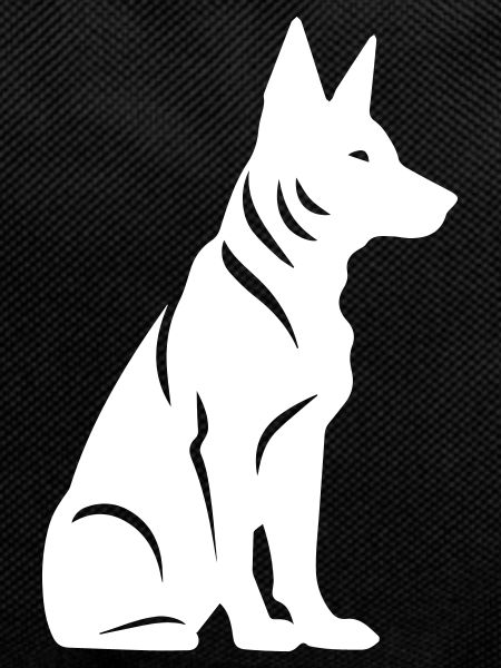 Chien