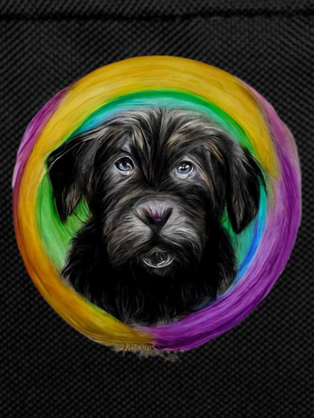 Rainbow Dog Briard