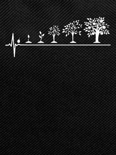 Pflanzen Evolution