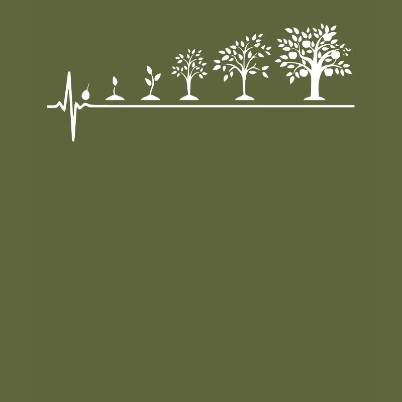 Plants evolution