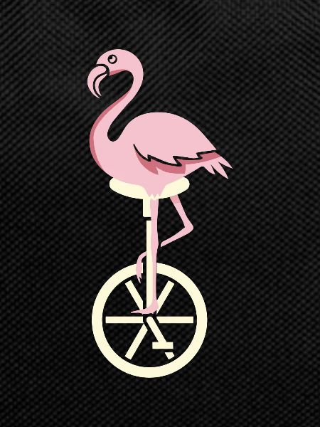 Unicycle flamingo summer gift