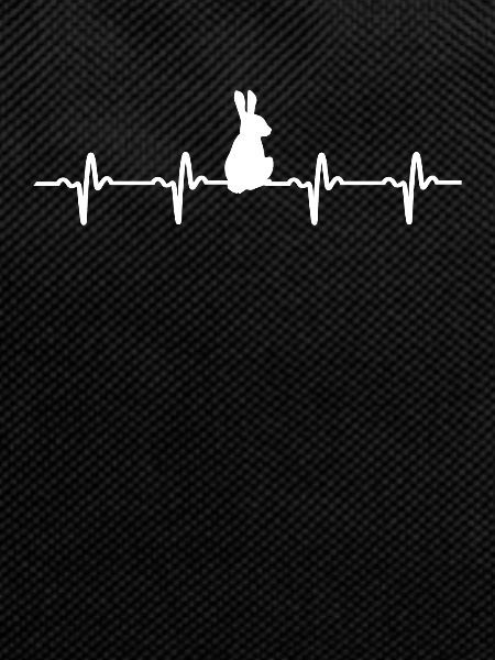 Bunny rabbit heartbeat