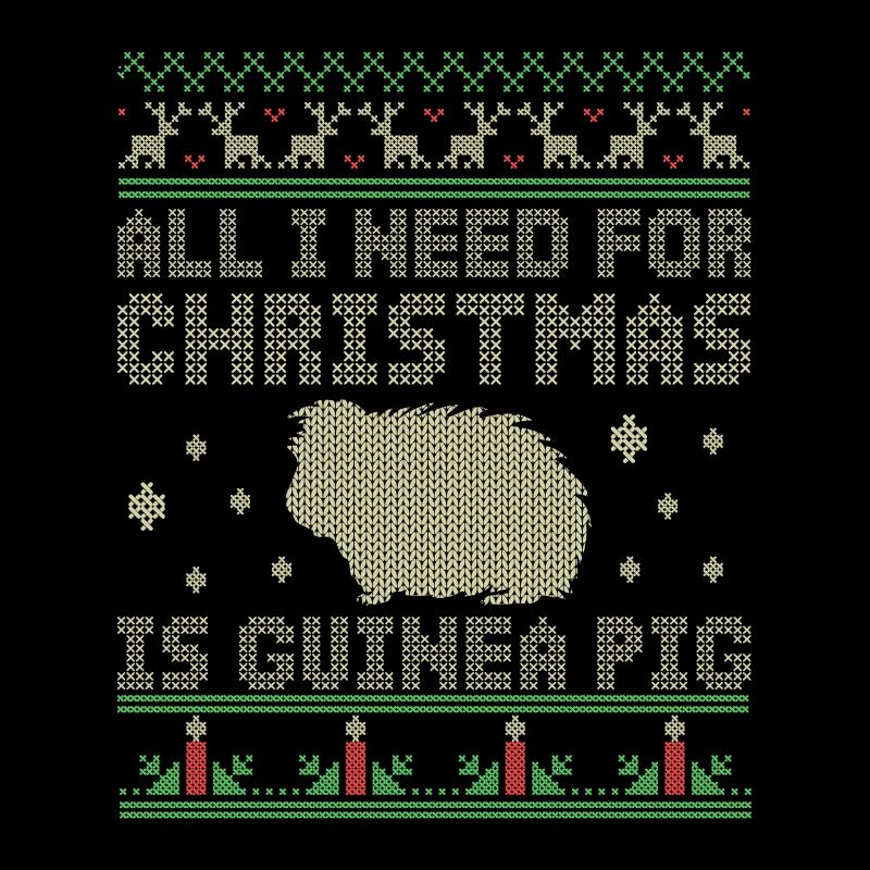 Guinea pig christmas motif gift