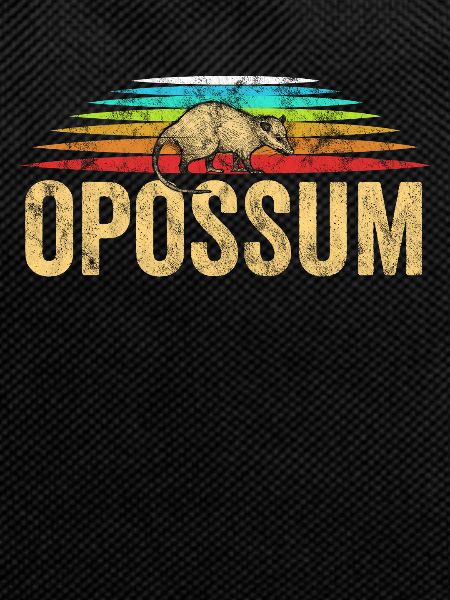 possum