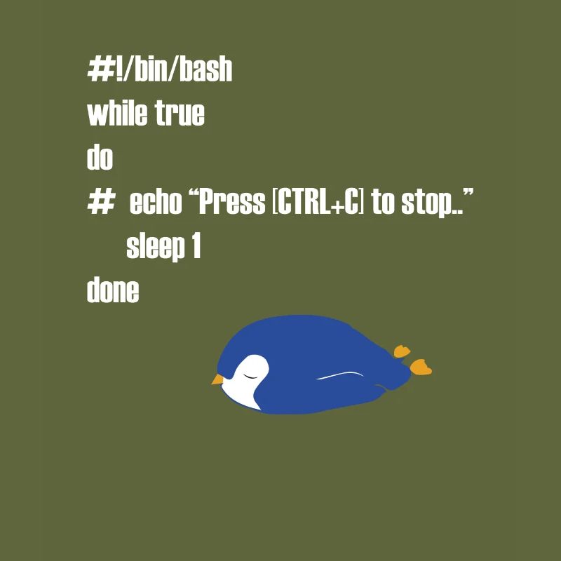 Cadeau drôle d'informaticien programmeur Linux