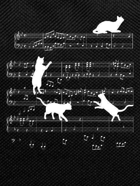 Cat Music Cats Gift