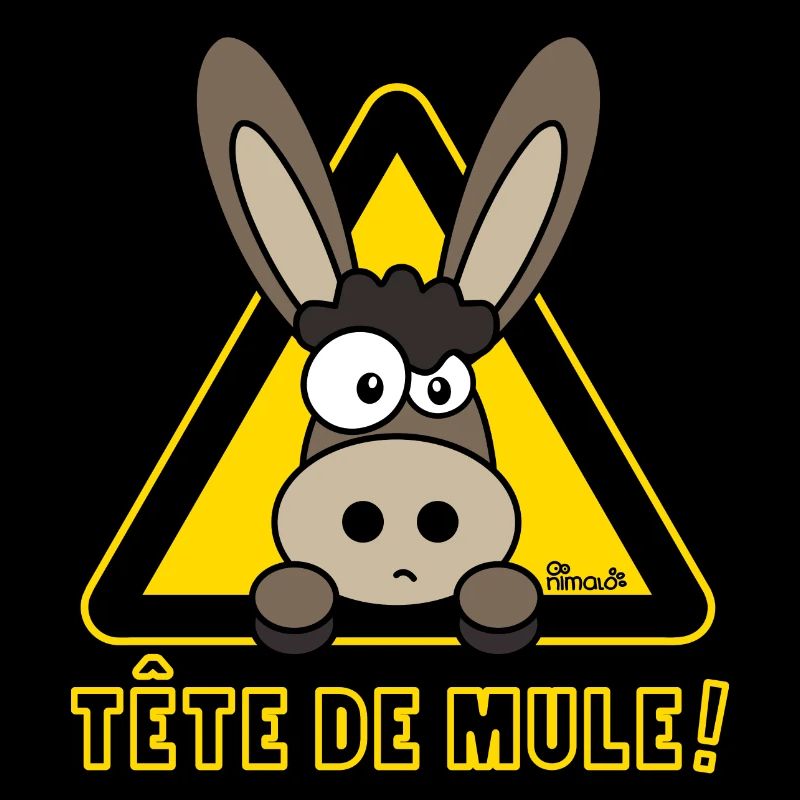 Âne, Tête de mule, tetu