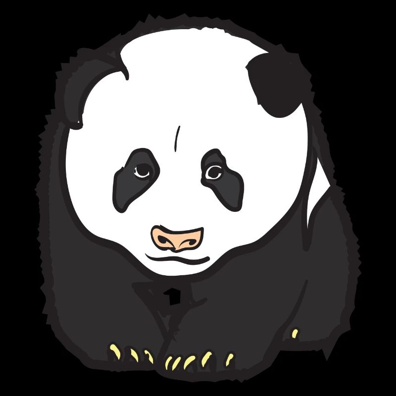 Panda Bär