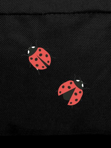 coccinelles