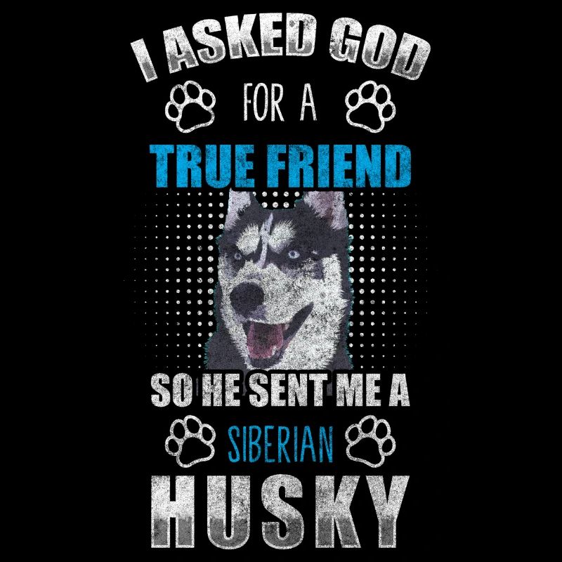 Chien de race husky chien de race