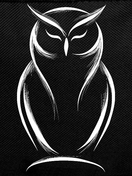 Wise owl, protective and spiritual bird