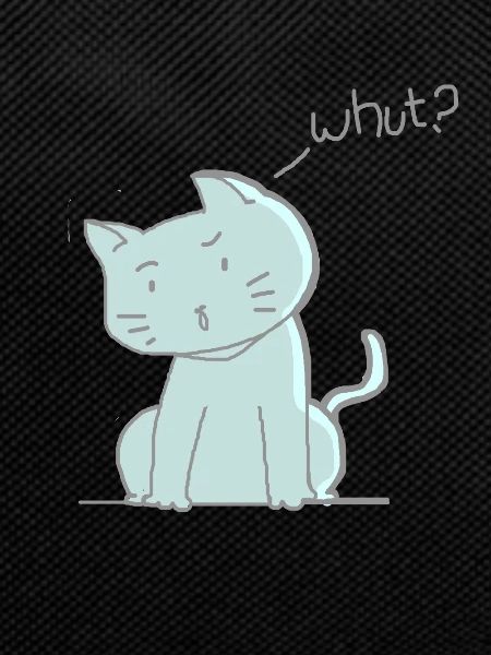 cute cat pet