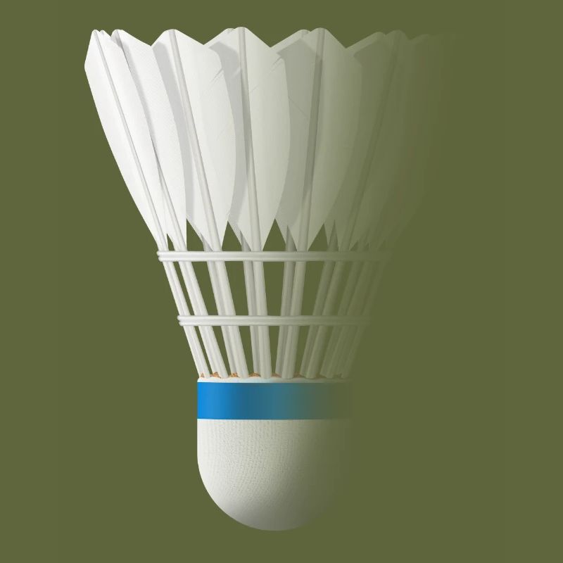 Federball Badminton