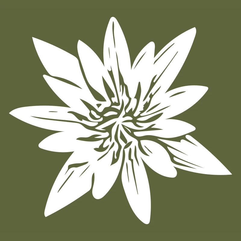 Blume