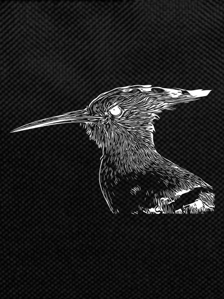 Hoopoe Bird