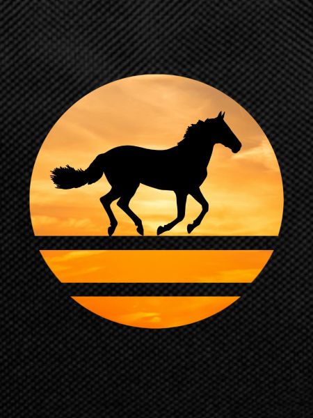 Horse Circle