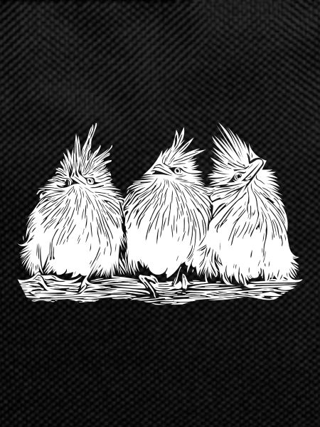 Funny funny birds