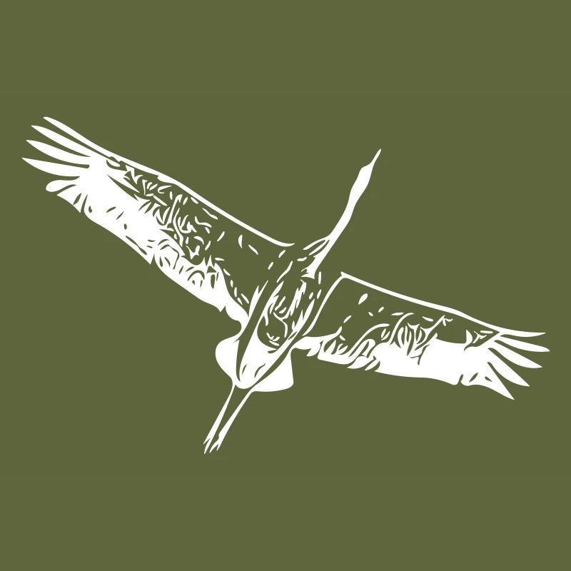 Heron bird in flight