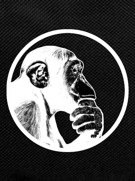 Think after monkey chimpanzee