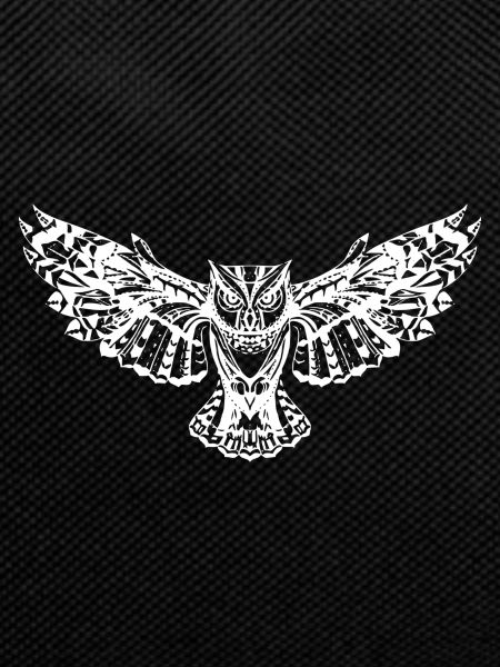 beautiful owl with spread wings