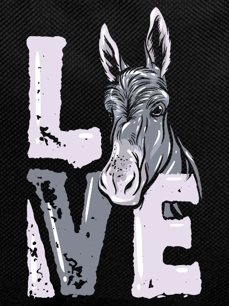 donkey