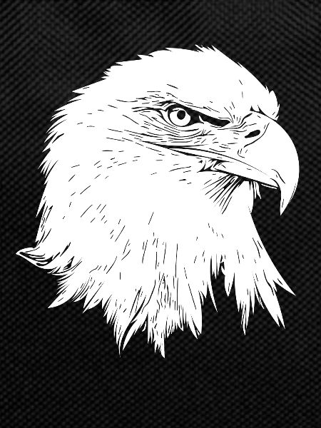 Eagle / Bald Eagle