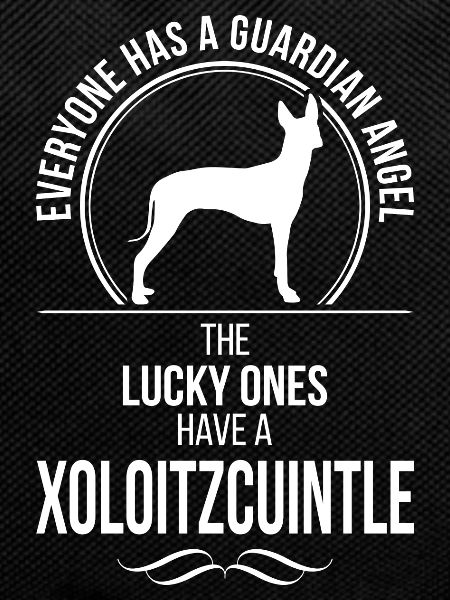 XOLOITZCUINTLE Guardian Angel Wilsigns