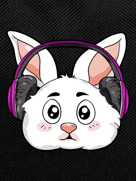 Rabbit with headphones