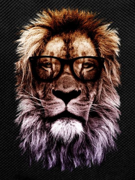Hipster lion