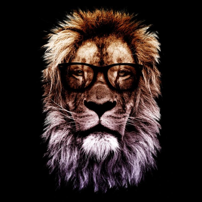Hipster lion