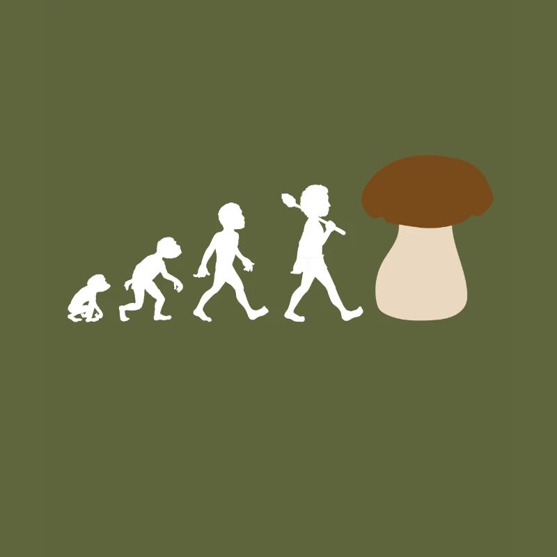 Conception de l'évolution d'un cèpe