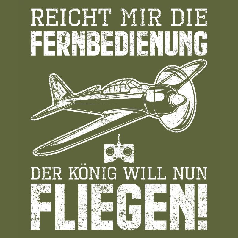 Modellbau Modellflug Pilot