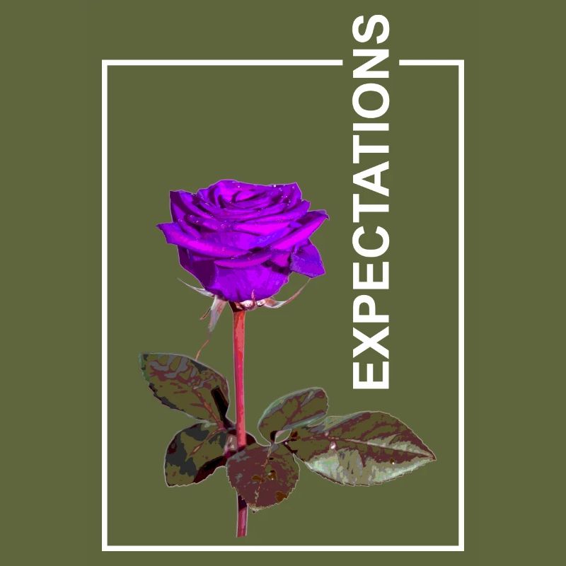 Rose Expectaions aesthetics