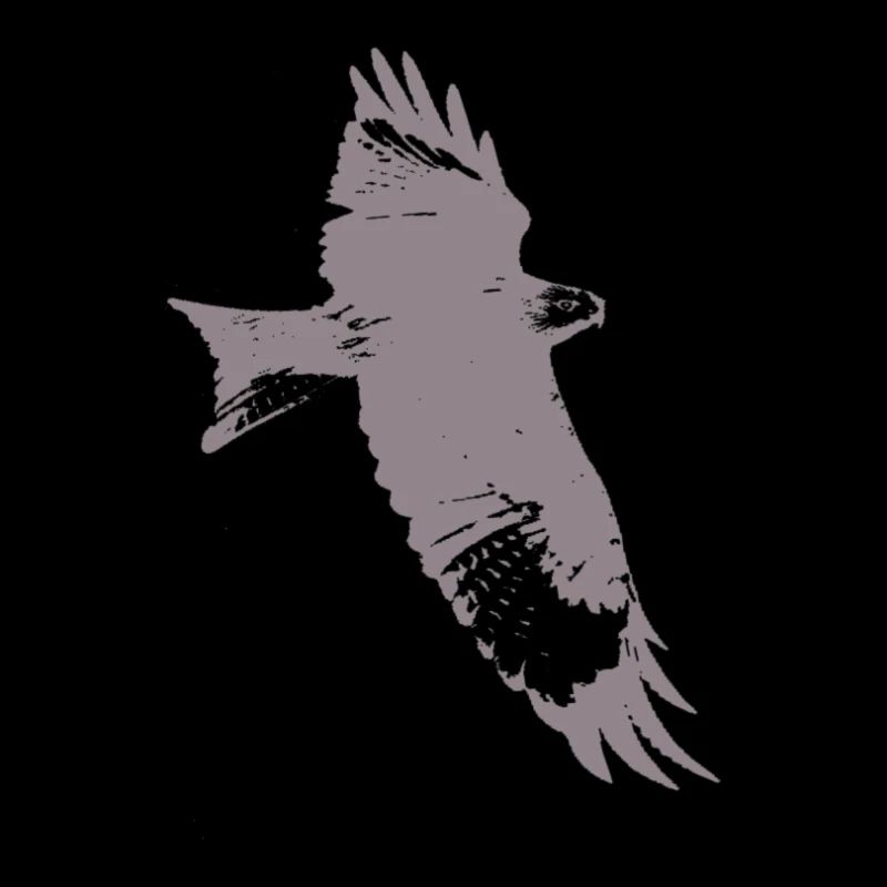 Eagle, falcon, falcon