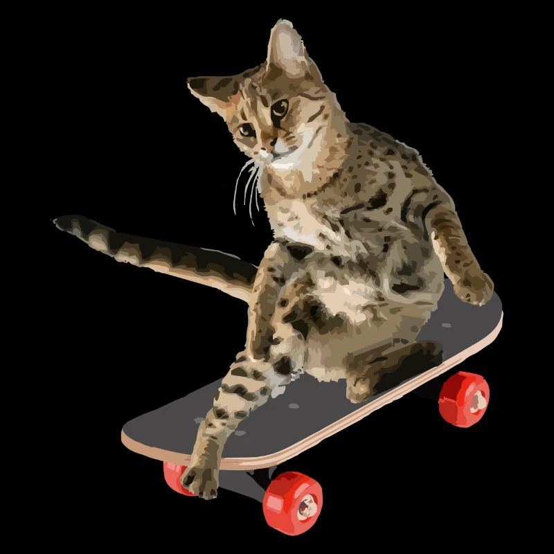 Skateboards Cat Skateboards