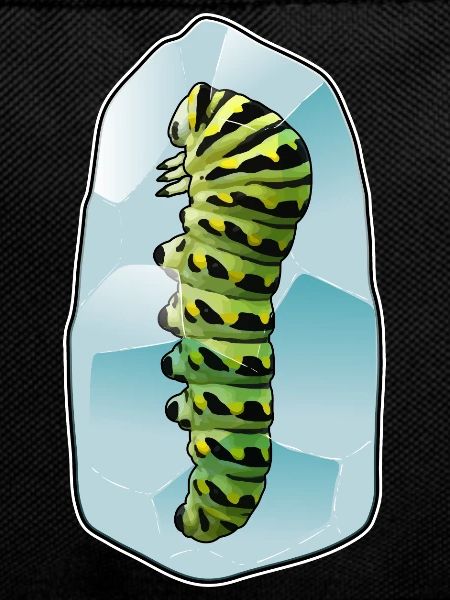 Caterpillar