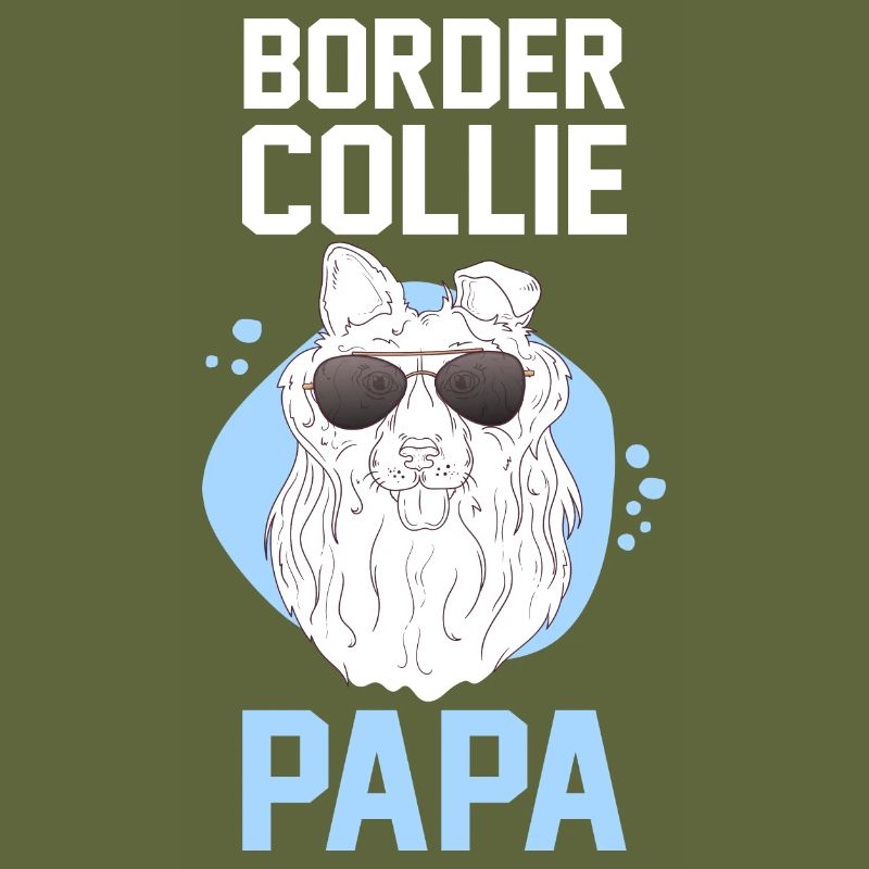 Hund Border Collie Papa