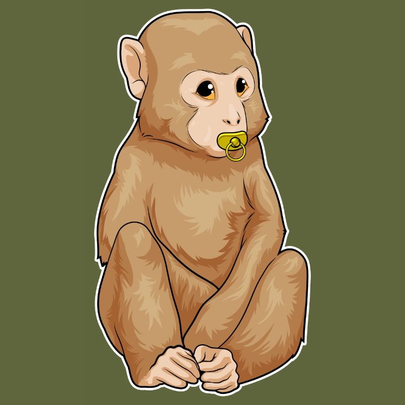 Monkey pacifier