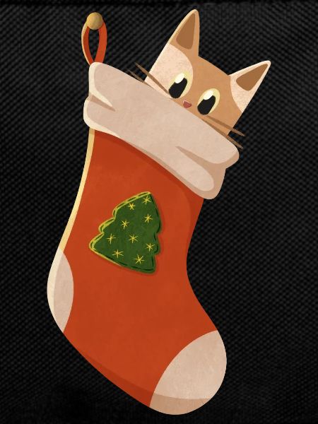 Cat in Christmas stocking