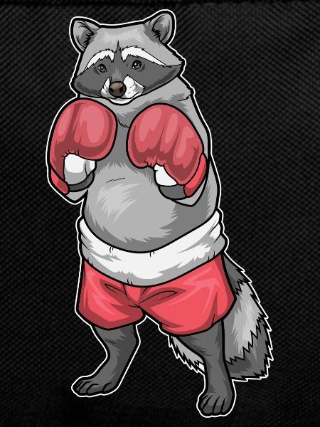 Waschbär Boxer Boxhandschuhe Boxen