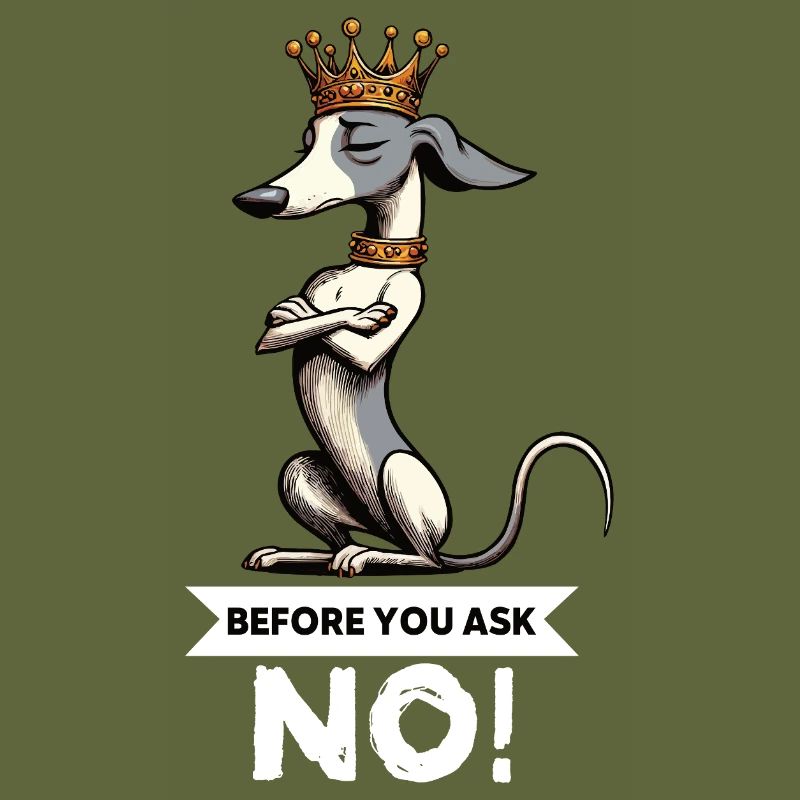 Before You Ask Whippet Greyhound Whippets Greyhounds
