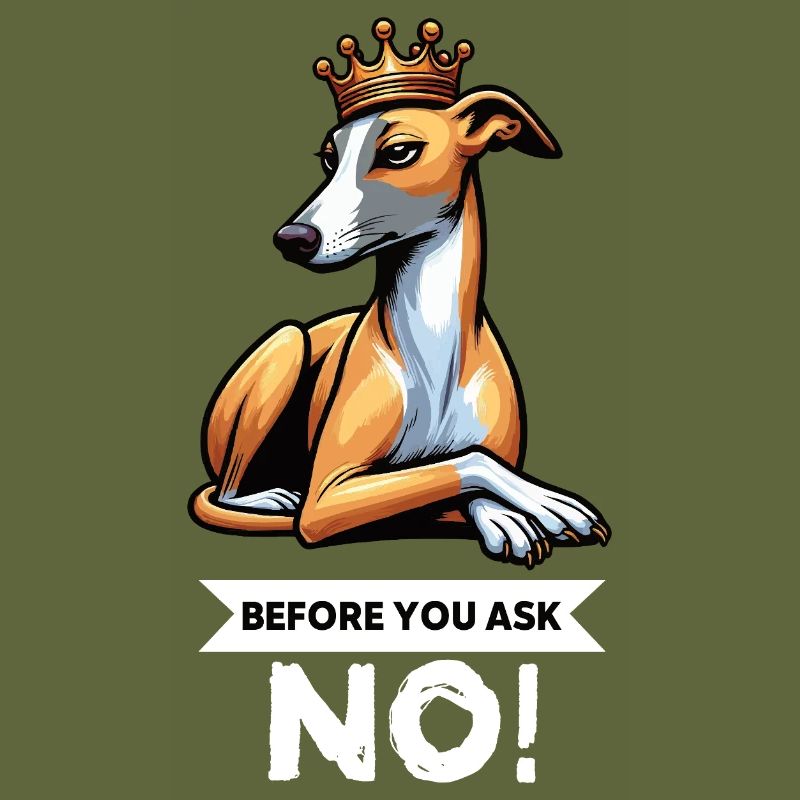 Before You Ask Whippet Greyhound Whippets Greyhounds
