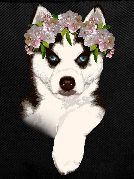 Husky mit Blumenkrone