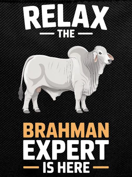 Brahman Cattle Cows Gifts