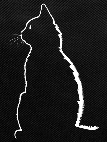 Cat, Cat Motif