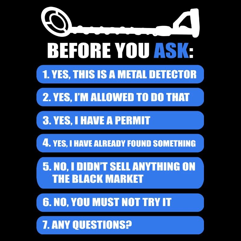 Metal detector