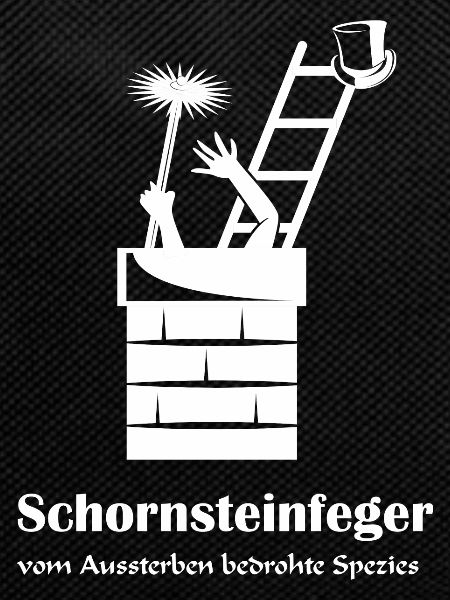 Schornsteinfeger